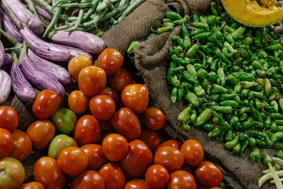 Charlies Carousel Back